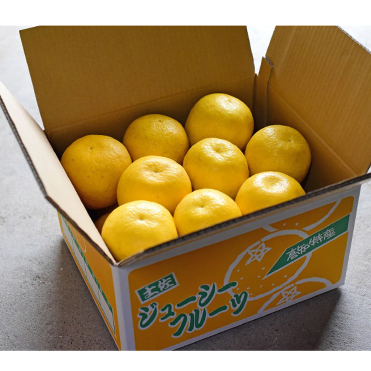 羽賀農園の河内晩柑9kg（家庭用）【高知県宿毛市小筑紫町田ノ浦産