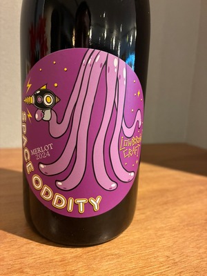 SPACE ODDITY merlot 2024 750ml