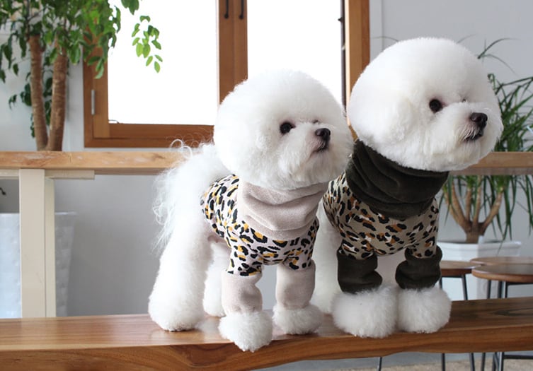 ヒョウ柄トップス S ~ XL 2color / 犬服 秋冬 新作 可愛い 暖かい ドッグウェア 長袖 Tシャツ 犬 服 お揃い 小型犬 中型犬 top102