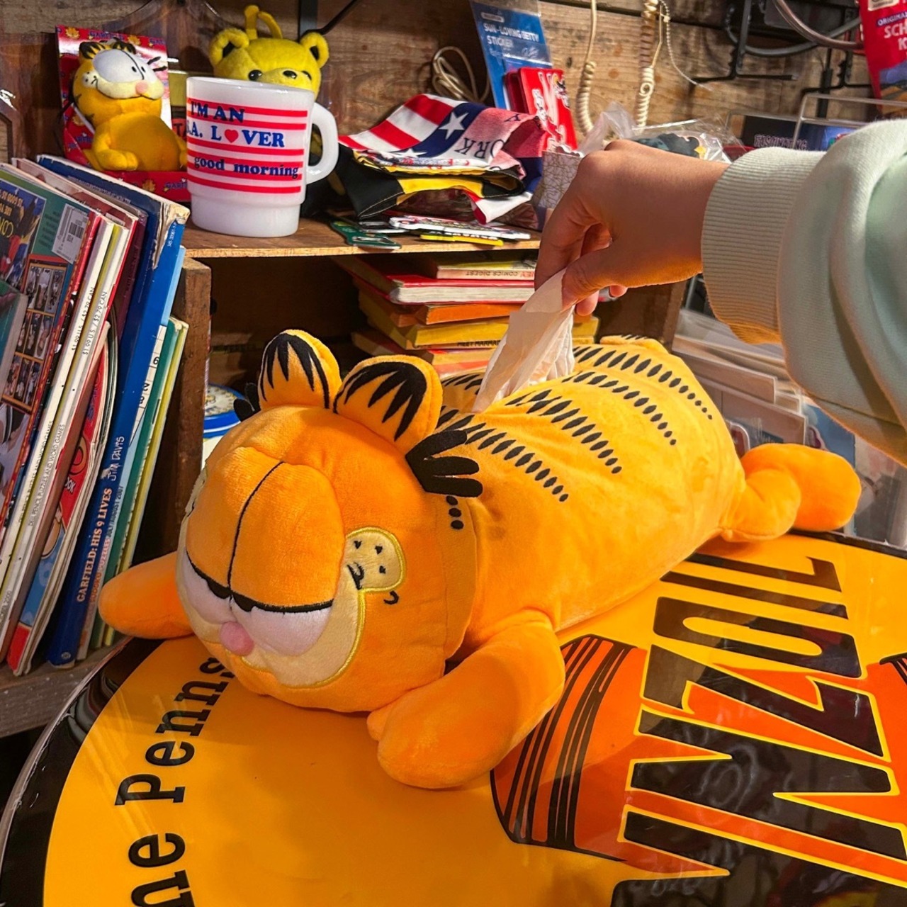 【GARFIELD】 ガーフィールド プラッシュティッシュカバー