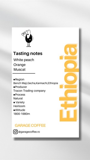 ETHIOPIA  BENCH MAJIG1 GESHA KARMACHI NATURAL100g