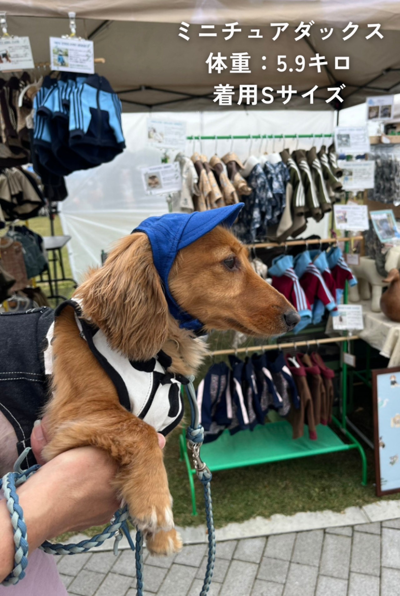 NiceDay Cap（Navy）