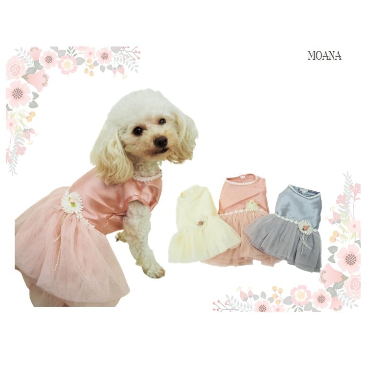 犬服スカート♡レースニット♡