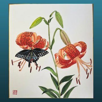 白百合の花 | PAY ID