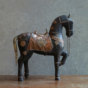 手放したくないほど美しい馬 16