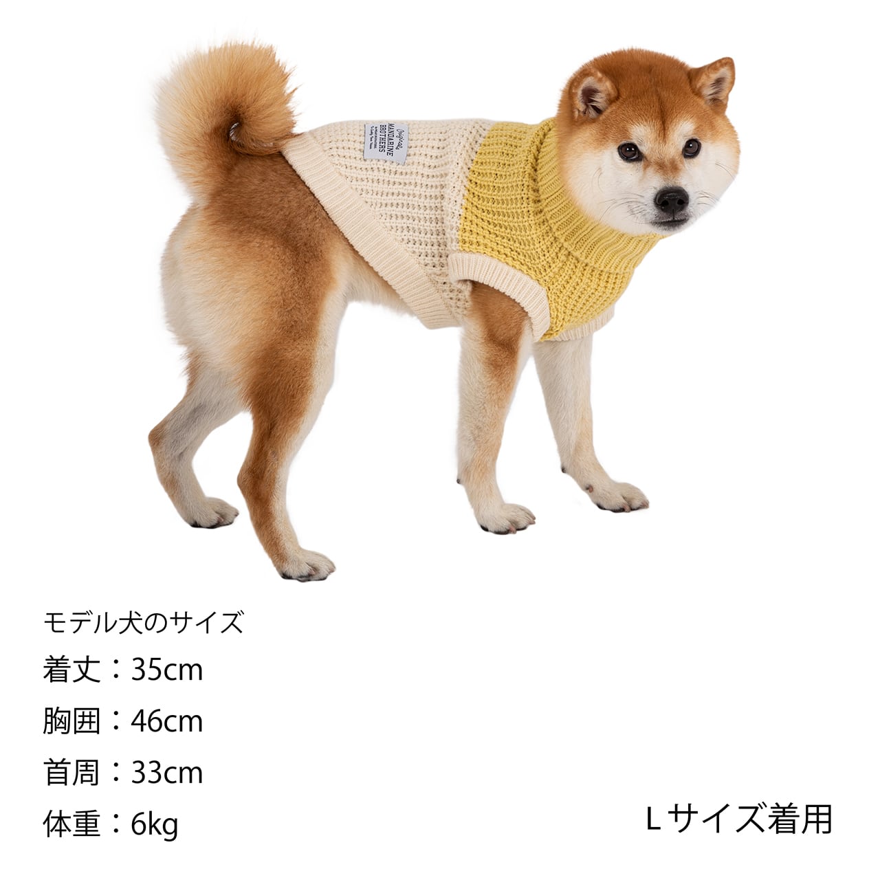 BICOLOR KNIT（M,L） バイカラーニット | MANDARINE BROTHERS