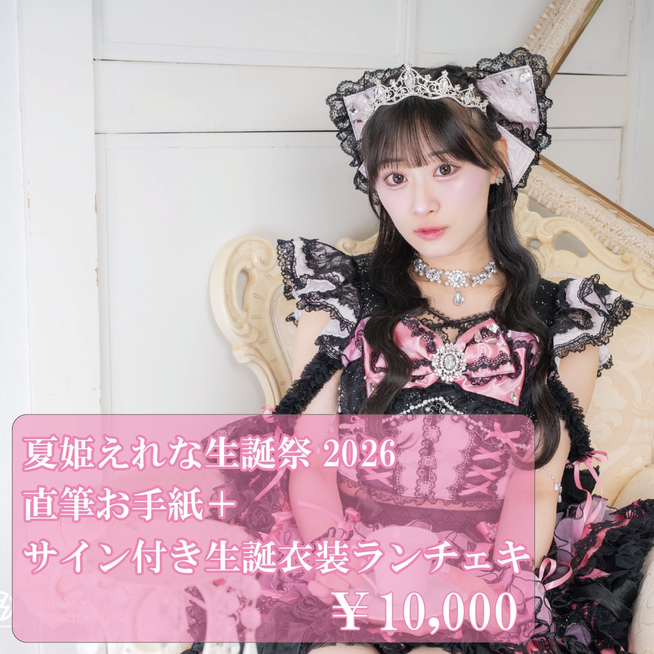 ランダムチェキ | 手羽先センセーション オンラインストア