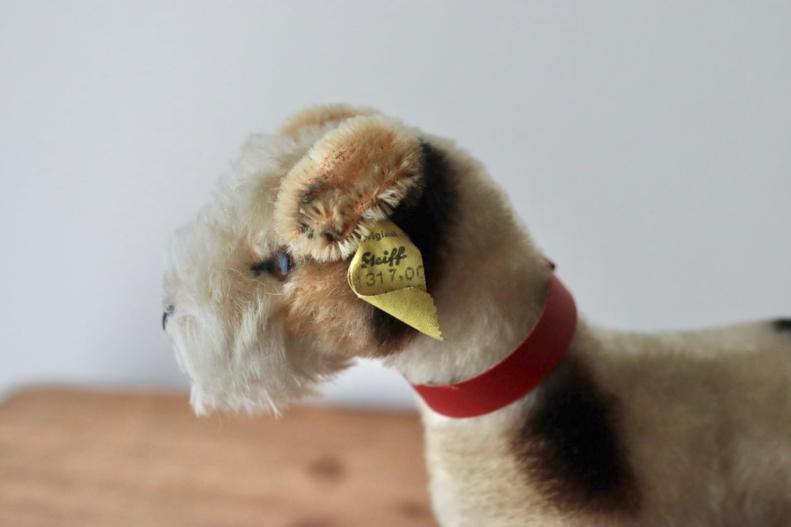 アンティーク シュタイフ 犬 ワイヤーフォックステリア Foxy 17㎝