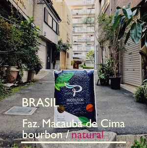 ブラジルN　中深煎　200g