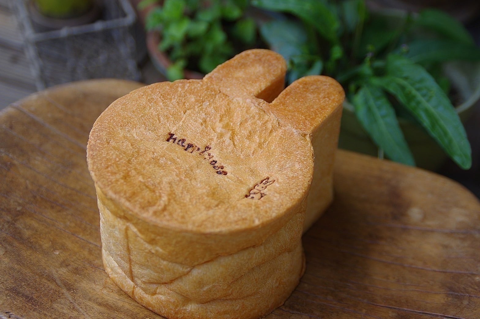 うさぎ食パン定期便♥️