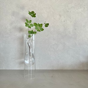 Clear flower vase