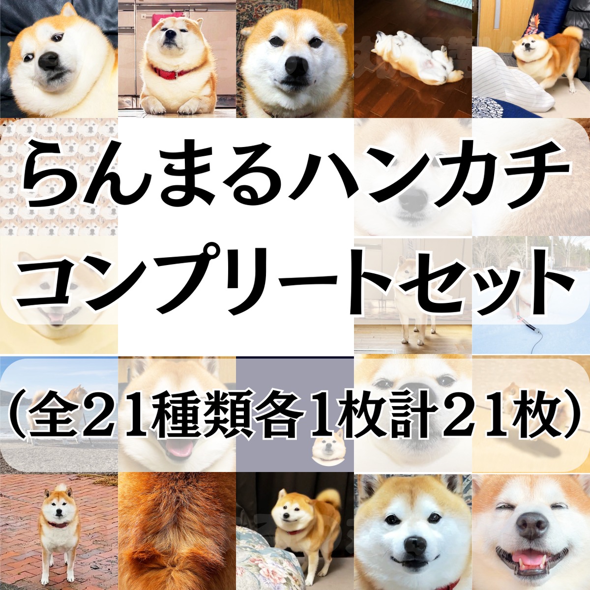 ご確認用　クロム　ハンカチ　柴犬さん柄ハンドメイド3/21 らんまるハンカチコンプリートセット（全21種類各1枚セット