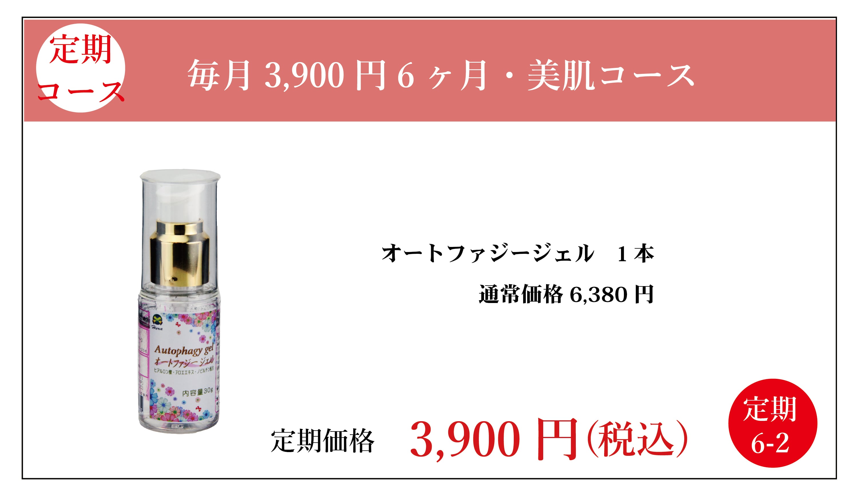 定期3900円:オートファジー1本