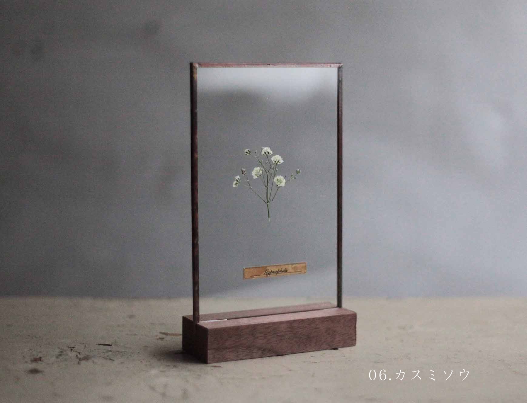 はいいろオオカミ＋花屋西別府商店 花束のガラス標本 Glass specimen ~季節のガラス標本 ~ | はいいろオオカミ＋花屋西別府商店