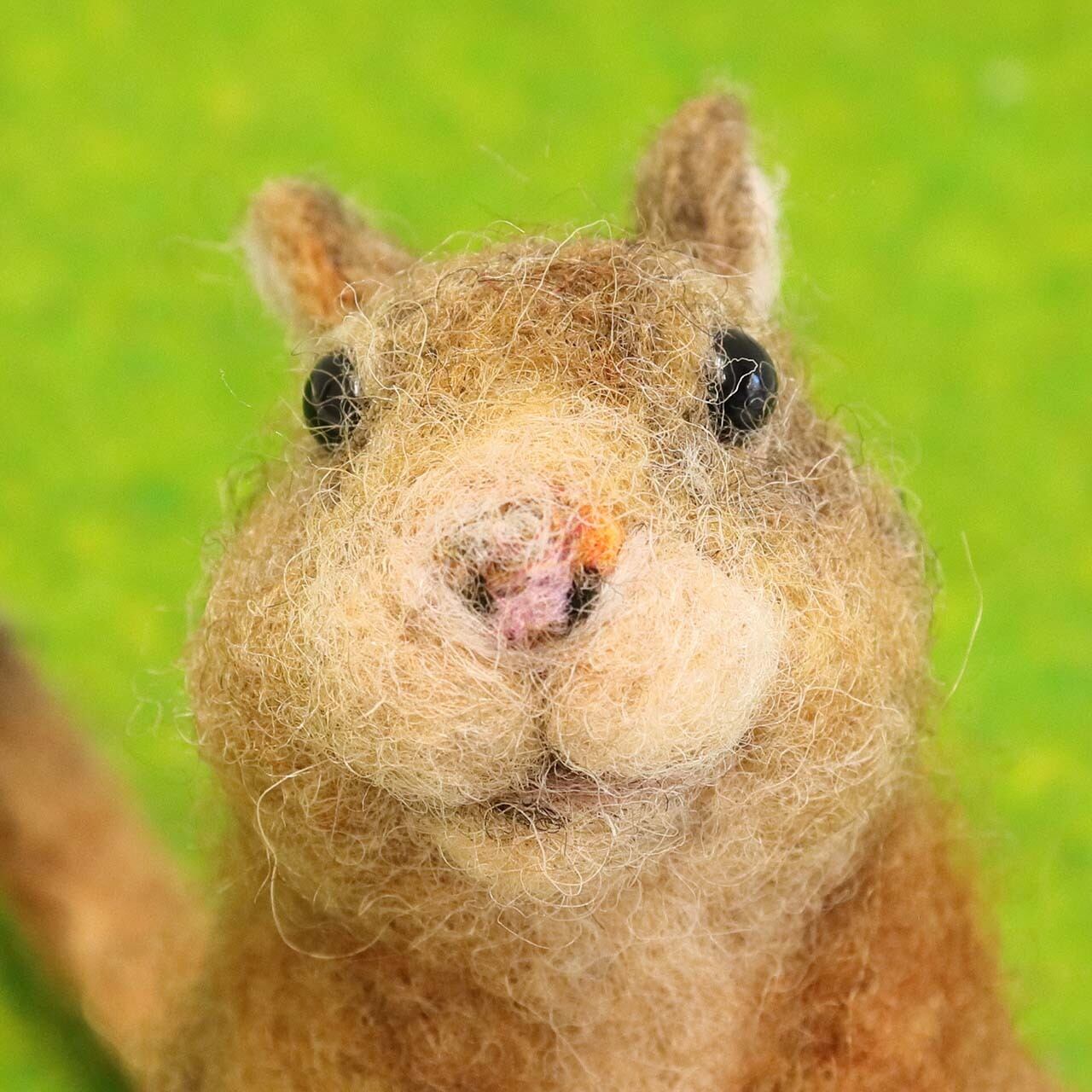 更紗ページ 羊毛フェルト デグー 更紗様 専用ページ 羊毛フェルト デグー