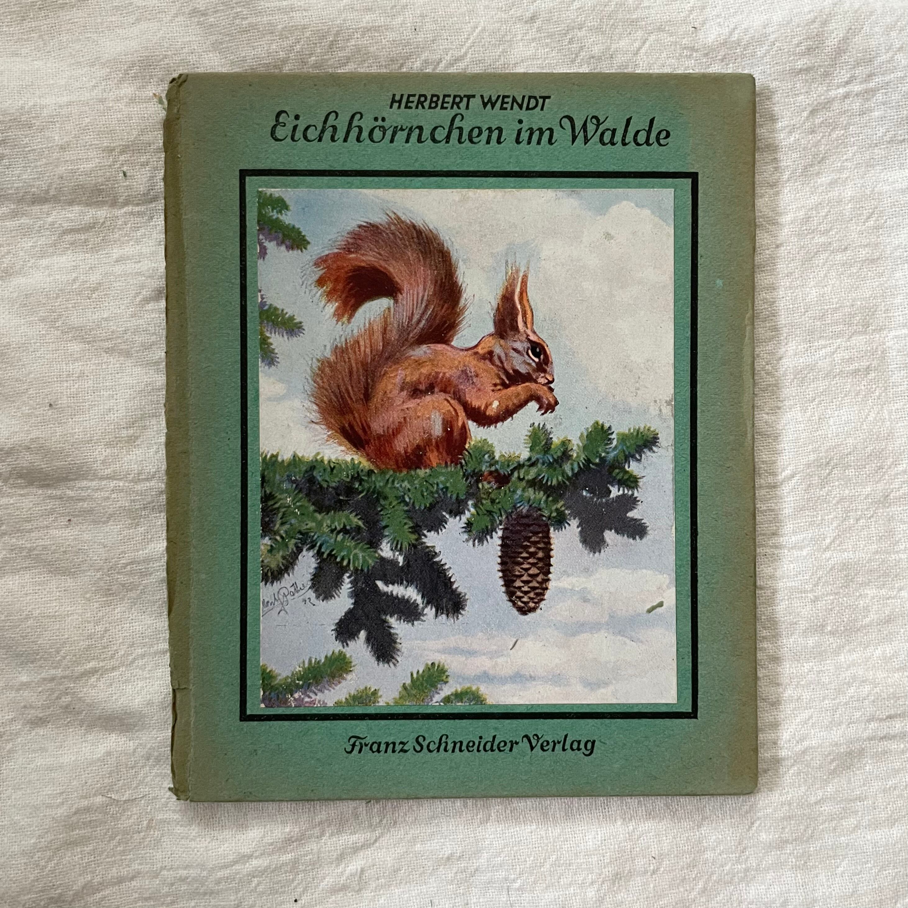 絵本『森の中のリス』