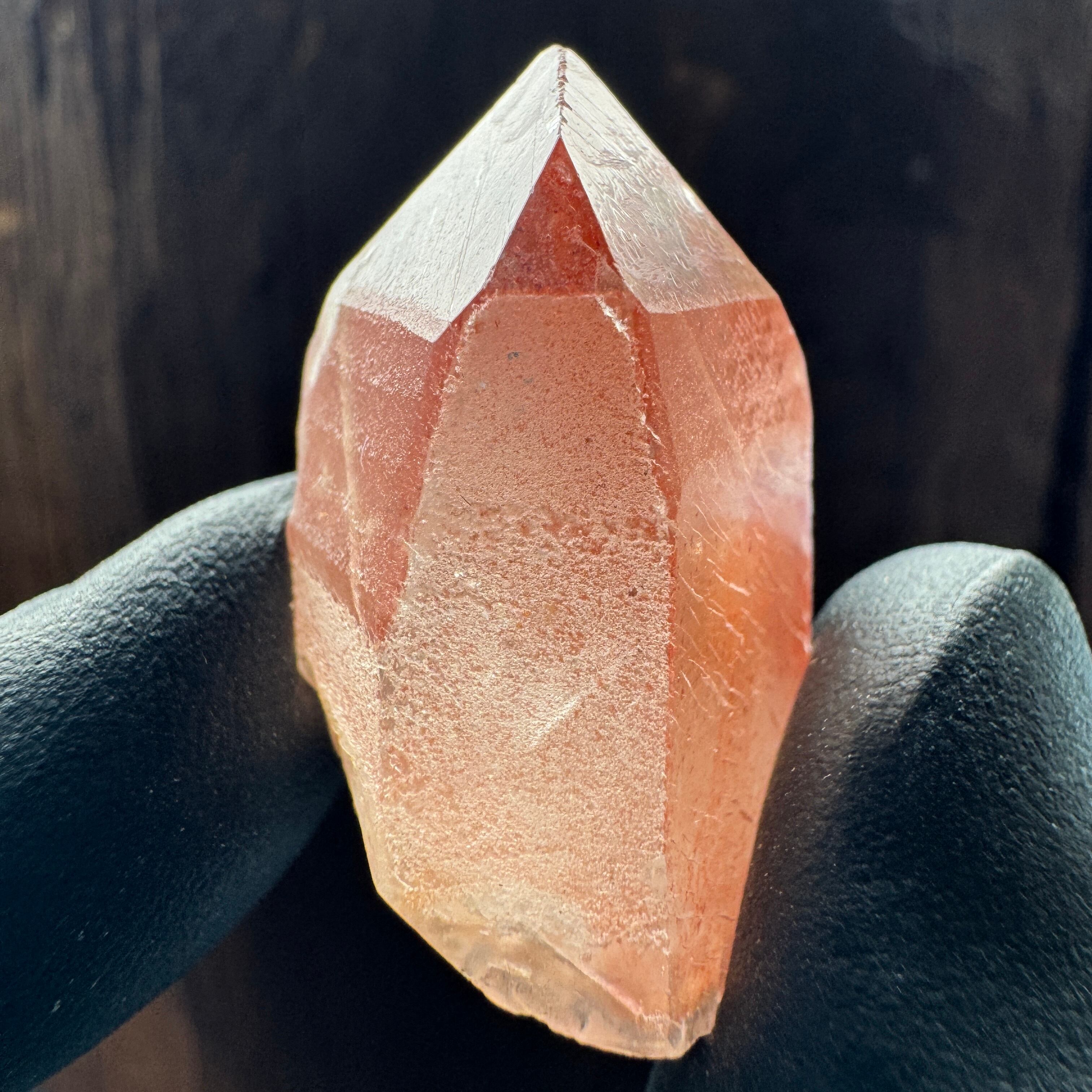 レムリアンシード　ブラジル産　レコードキーパー レムリアンシード レコードキーパー ブラジル・バイーア州産