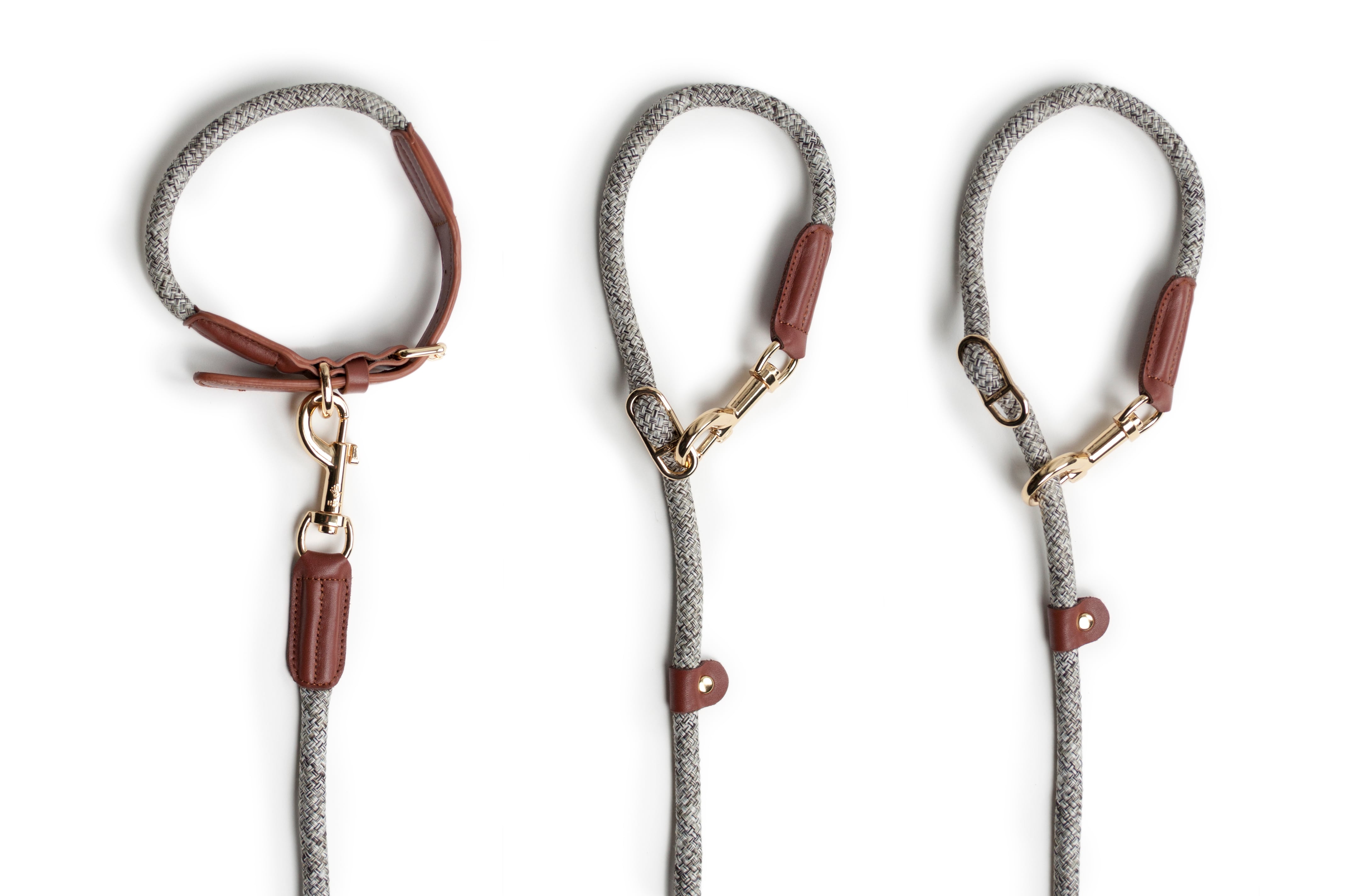 HIGH 5 DOGS TOKYO [OFFICIAL]