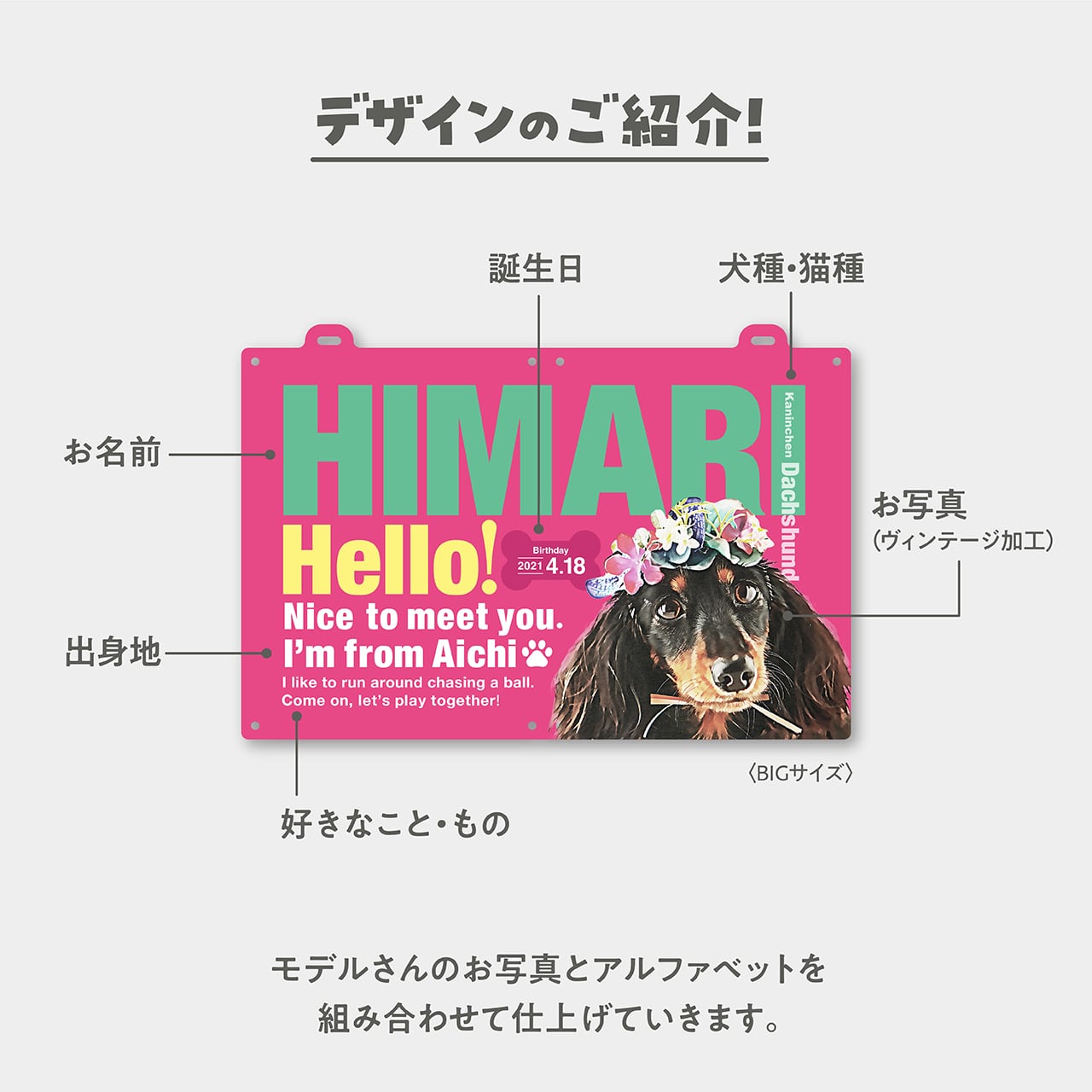 ☆光る】カートプレート〈ポップstyle〉 | ひまわんギャラリー