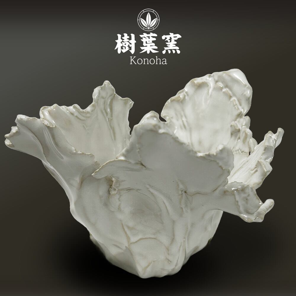 white grow tekka pot アート 植木鉢 白 綴化 鉢受け 付き | KONOHA