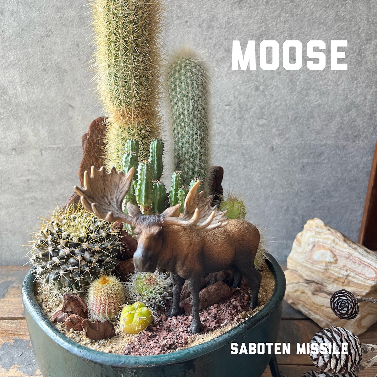 moose ムース | SABOTEN MISSILE