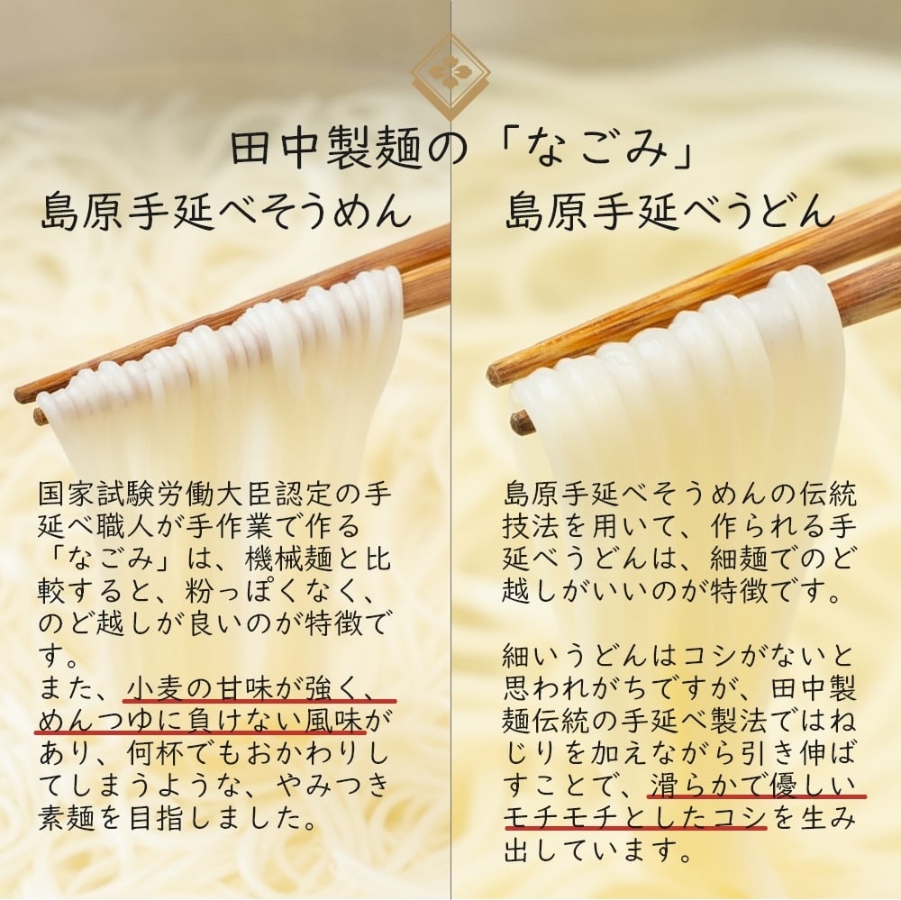 島原手延べ そうめん うどん なごみ 食べ比べセット 50g×10束 計 500g