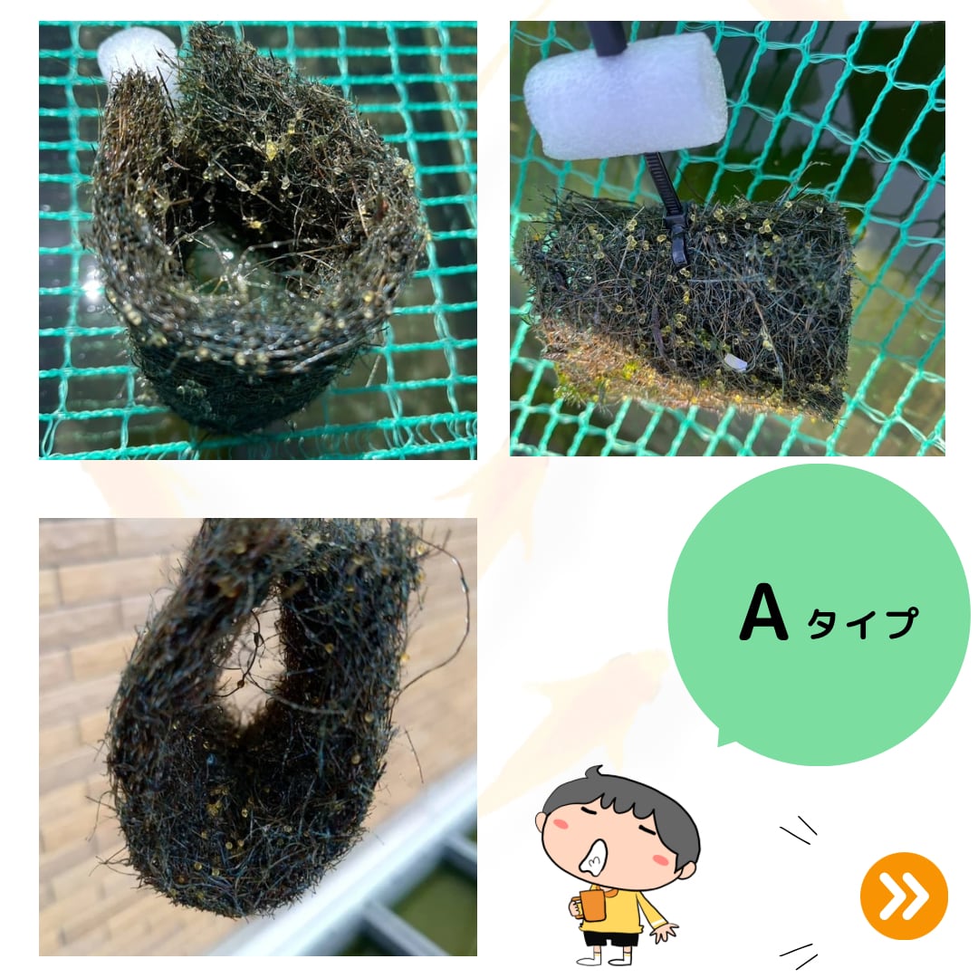 天然ヤシ材のメダカの産卵床【12個入り】