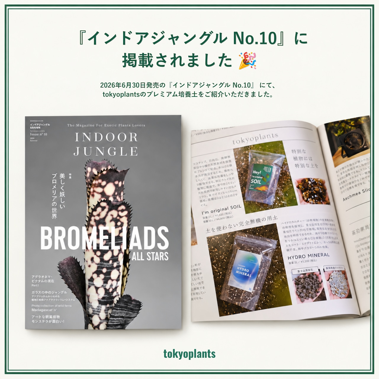 HYDRO MINERAL 2L|富士山溶岩 × 無機質ミネラル × 長期肥料配合|ハイドロカルチャーに最適