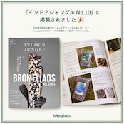 HYDRO MINERAL 2L|富士山溶岩 × 無機質ミネラル × 長期肥料配合|ハイドロカルチャーに最適