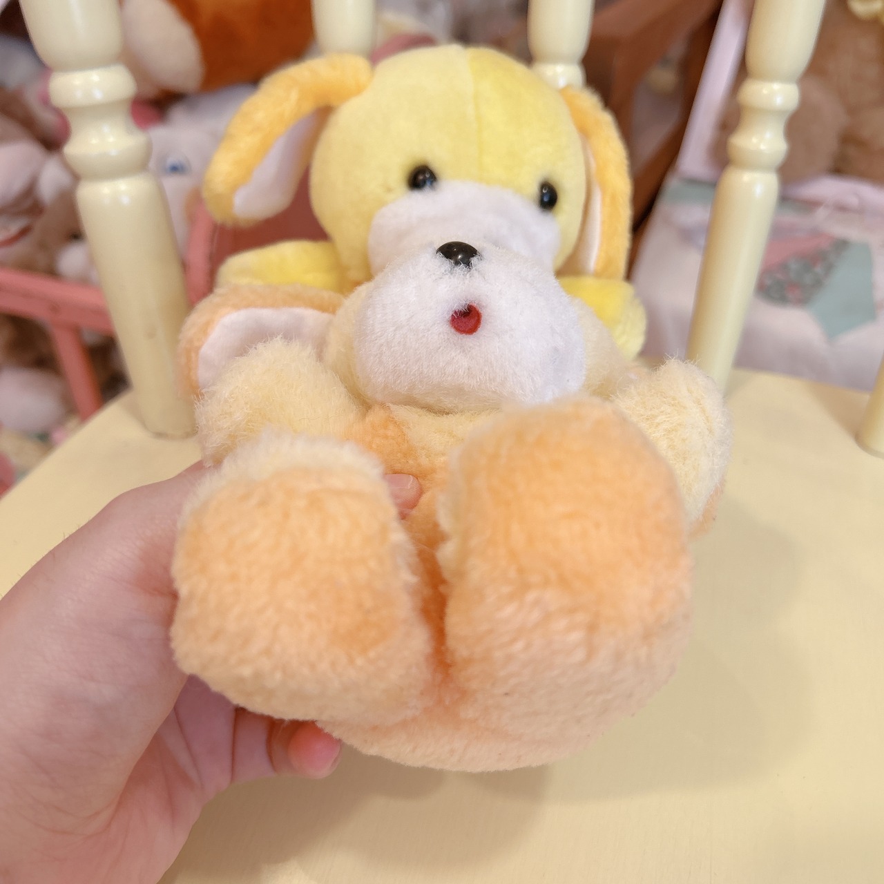 dogの画像08