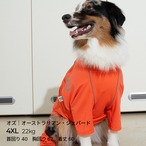 【puppygallery公式】Essential Training Suit  (Standard leg) 　 M-XL