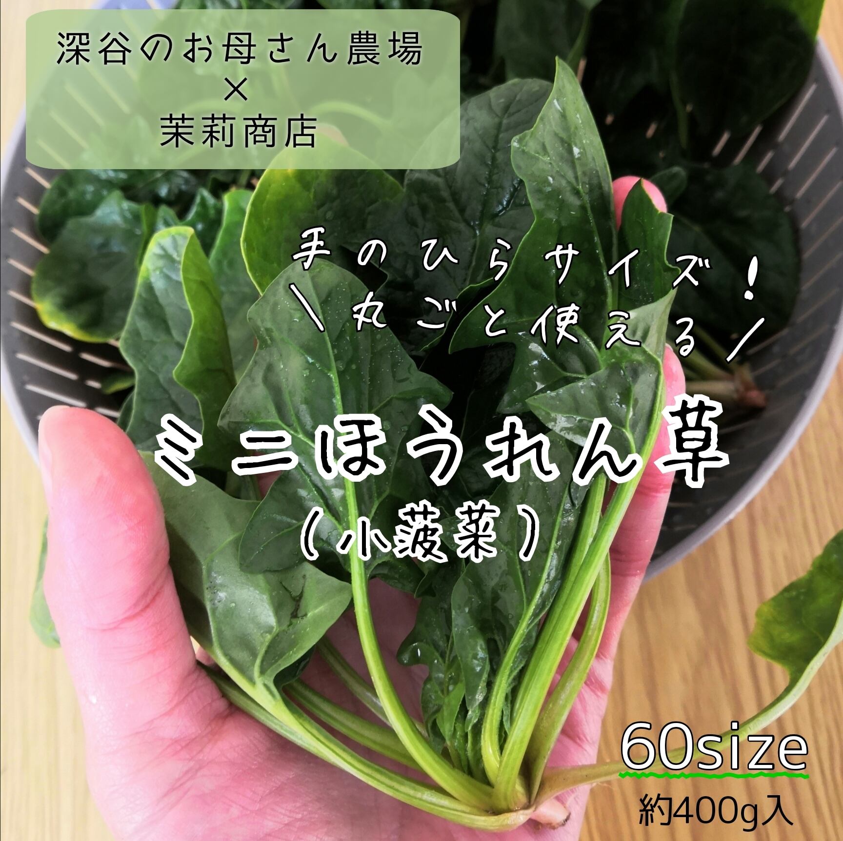 ※送料別　小菠菜（ミニほうれん草）60箱いっぱい　埼玉県産　茉莉商店