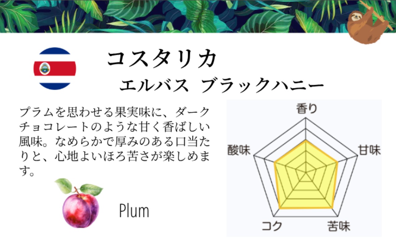 コスタリカ 200g エルバス ブラックハニー
