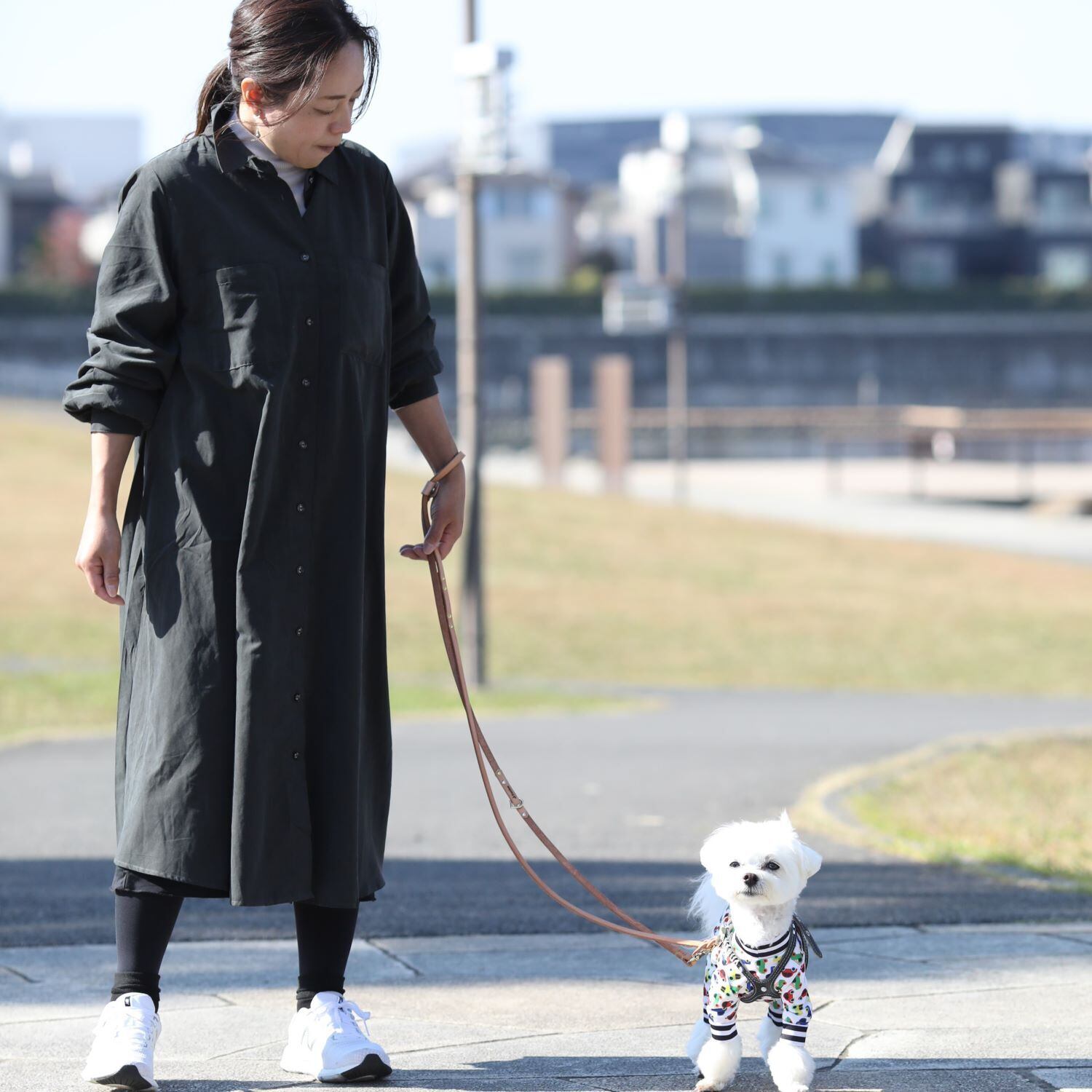 小型犬用本革製 3WAYロングリード | Pooches Dogwear