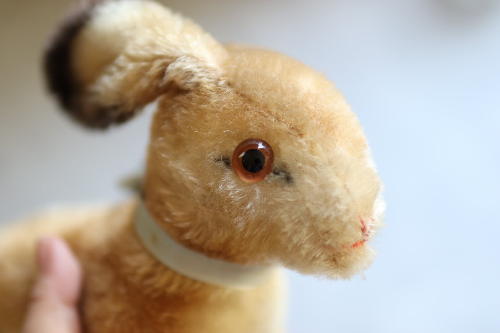 シュタイフ ぬいぐるみ うさぎ Hoppy14㎝ ヴィンテージ