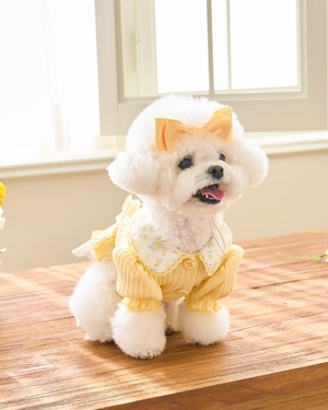 予約【kiki＆nini】Bloomong Cardigan Dress《Yellow》