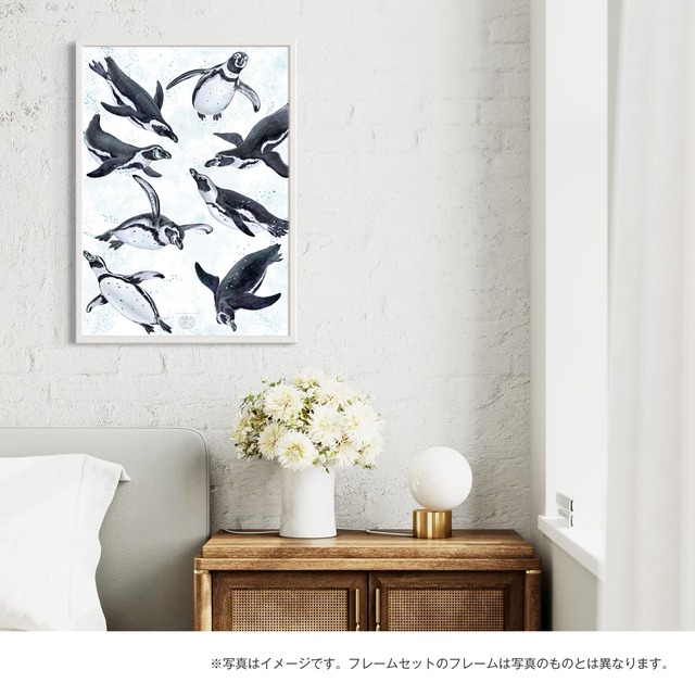 【海のいきものアートポスター／海鳥】マゼランペンギン
