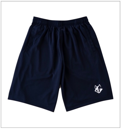 Dry Short Training Pants (Navy) 