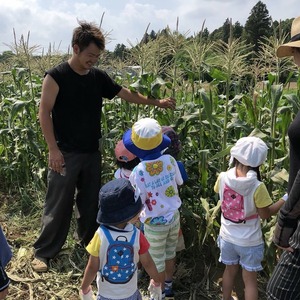 7/27　14：00～　三ツ星コーン収穫体験