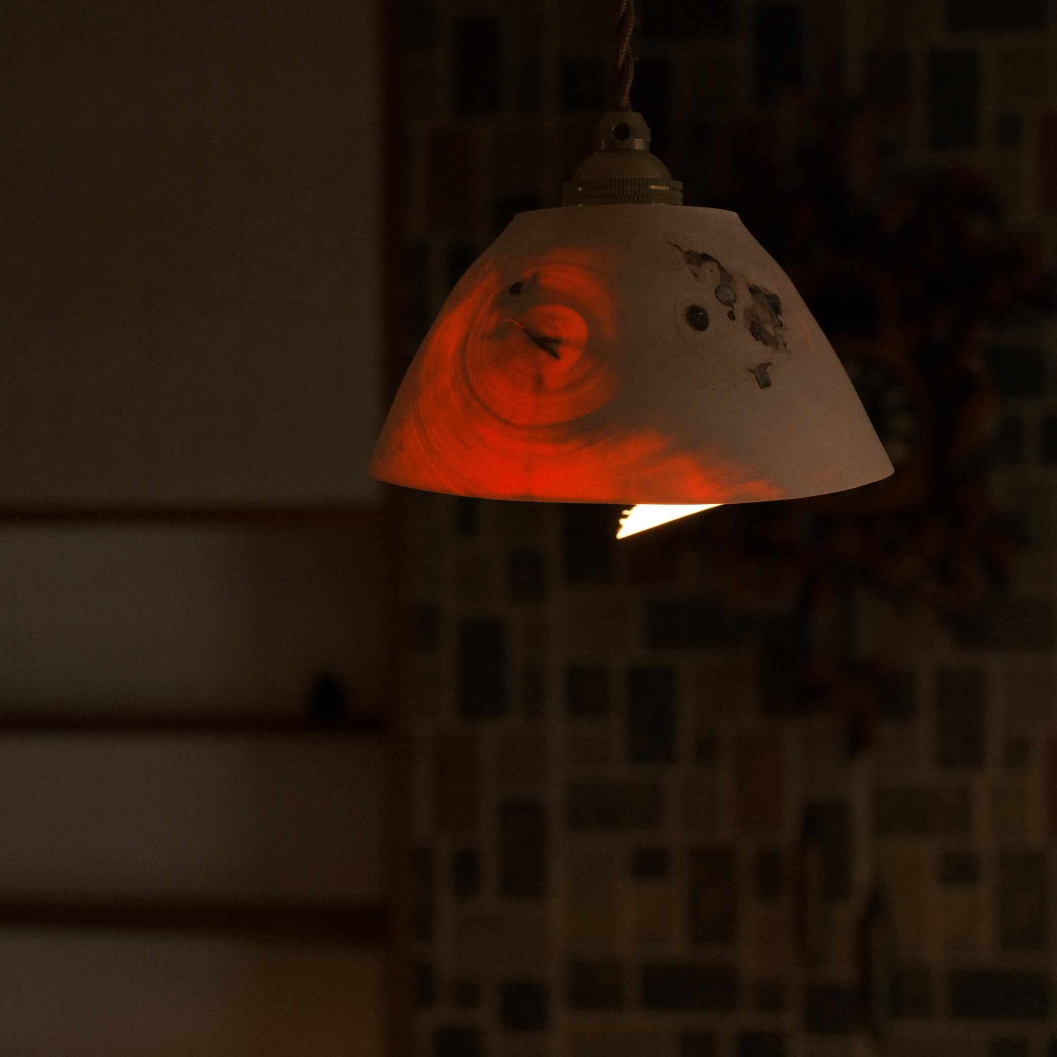 ヤマボウシ/lamp shade