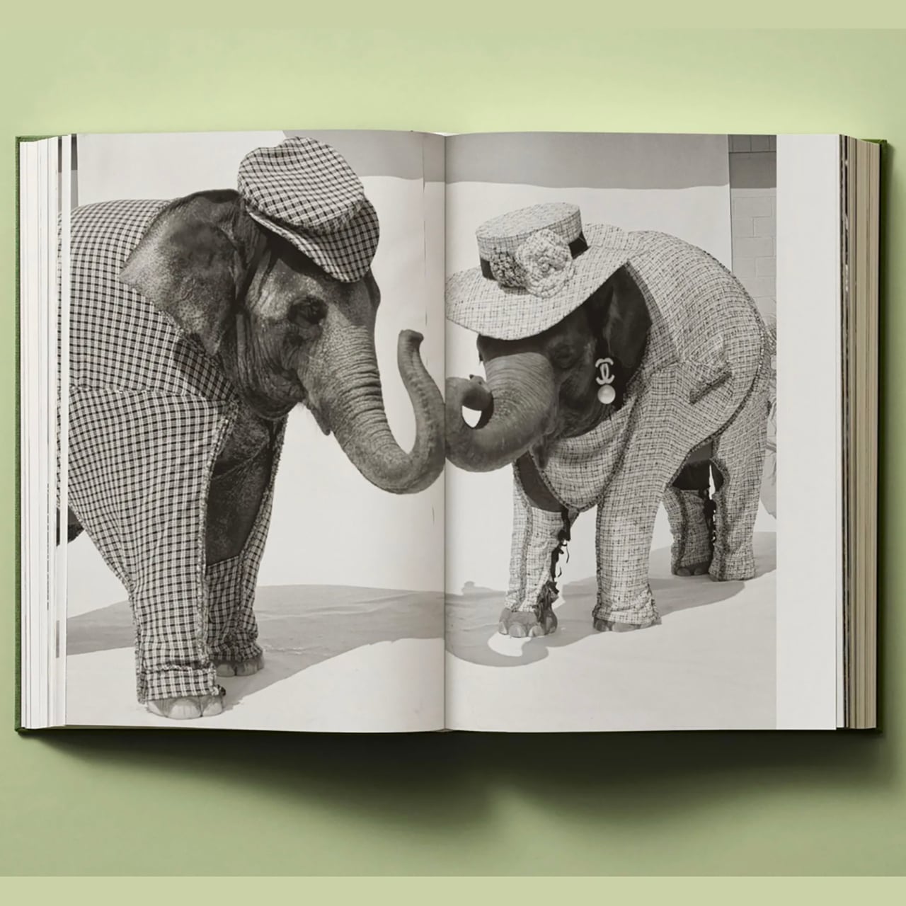 Bruce Weber: My Education | ON SUNDAYS