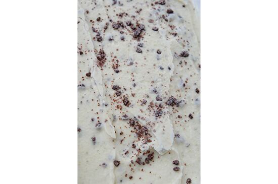 ご自宅用・パイントアイス【実山椒チョコ】