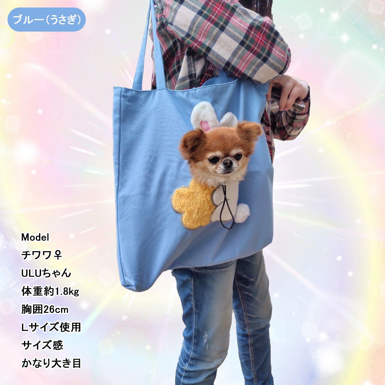 革職人のハンドメイドワンちゃんのトートバッグ　お散歩バッグキャリー　Seee d7ba7c934f820a965f9a9d629f62e2