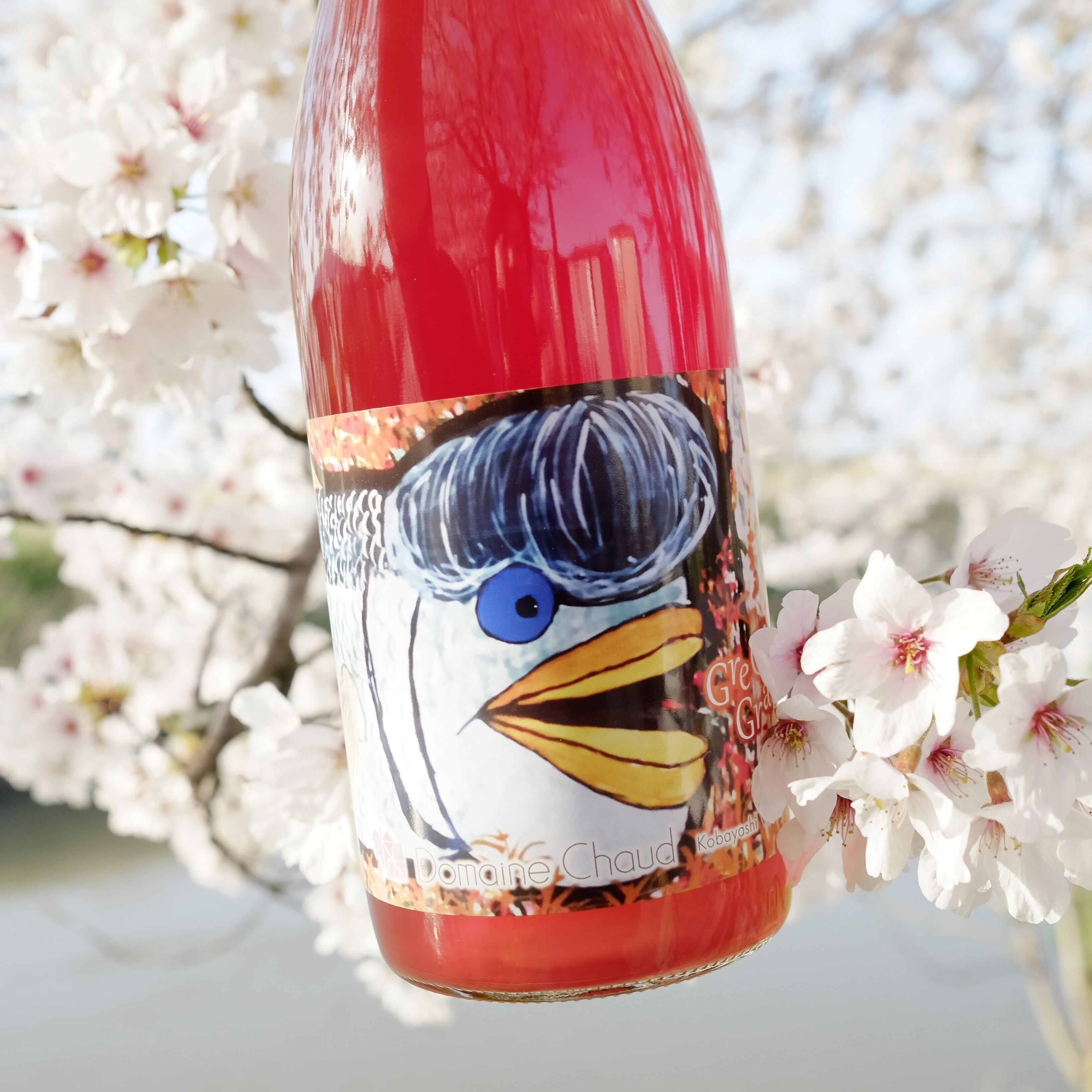 新潟のワイナリー「Domaine Chaud」