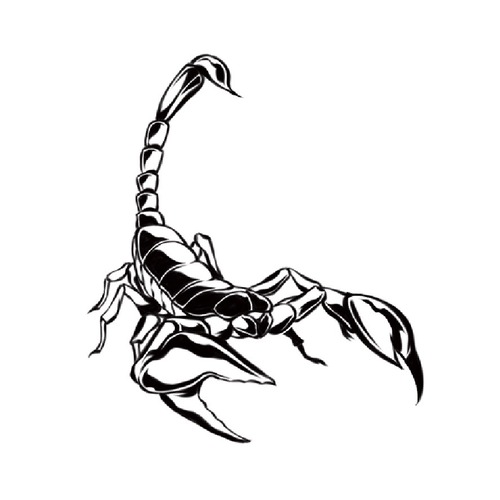 botamochi：スコーピオン