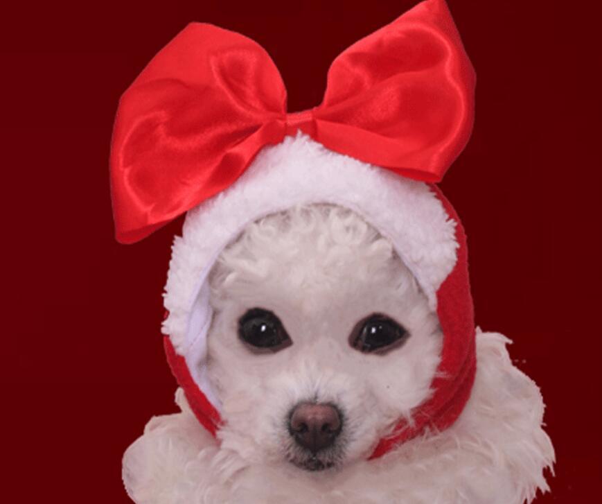 《予約》2110919 スッポリもこもこキュートキャップ