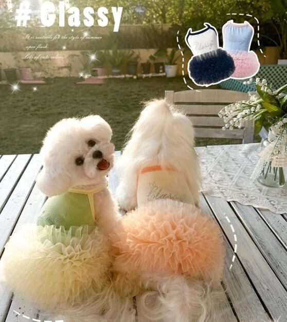 【予約】№3102043 ラインストーンのキラキラチュチュワンピース