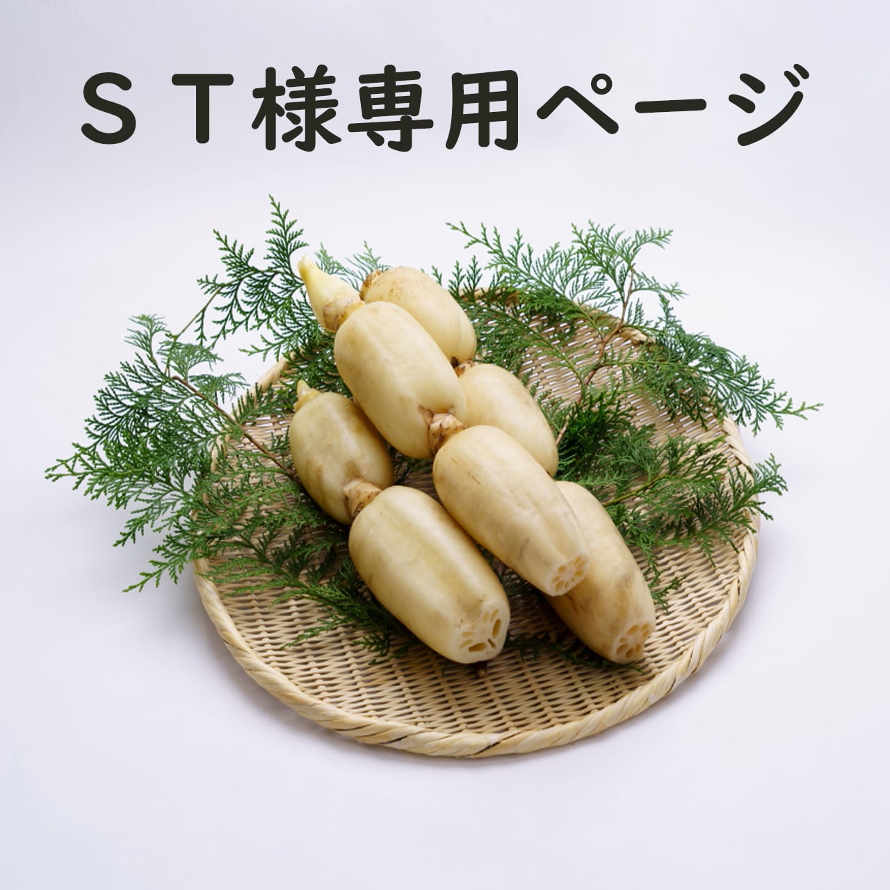 レンコン様 専用ページ 【公式通販】