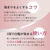 サロンドプロ 白髪染め カラートリートメント アッシュブラウン 180g
