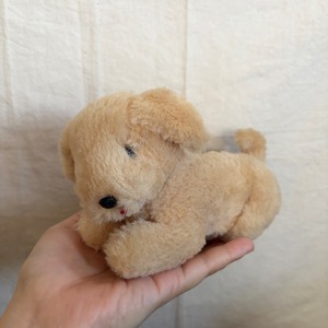 のんびりした犬